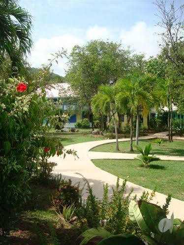 Nanny Cay Hotel Road Town  Εξωτερικό φωτογραφία